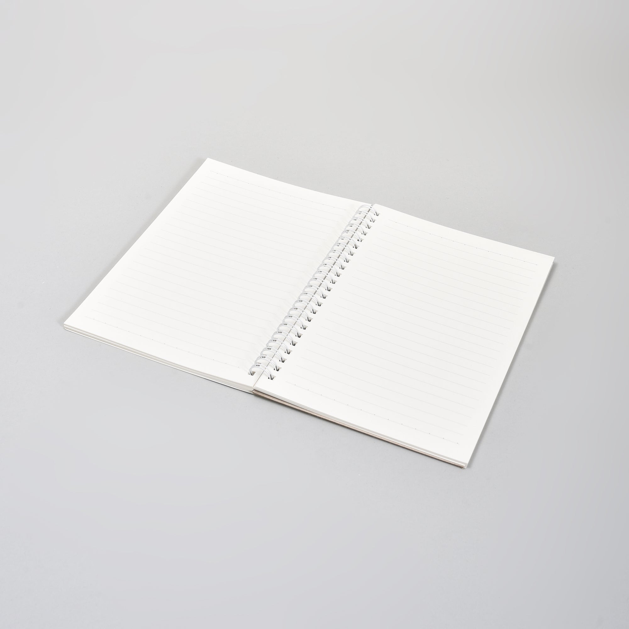 A5 Spiral Notebook- Dinosaur Paradise