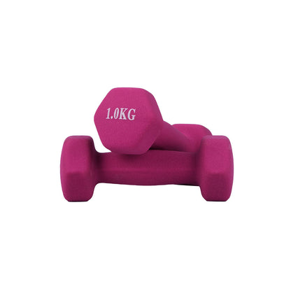 1 KG Matte Dumbbells - Set of 2