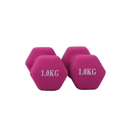 1 KG Matte Dumbbells - Set of 2