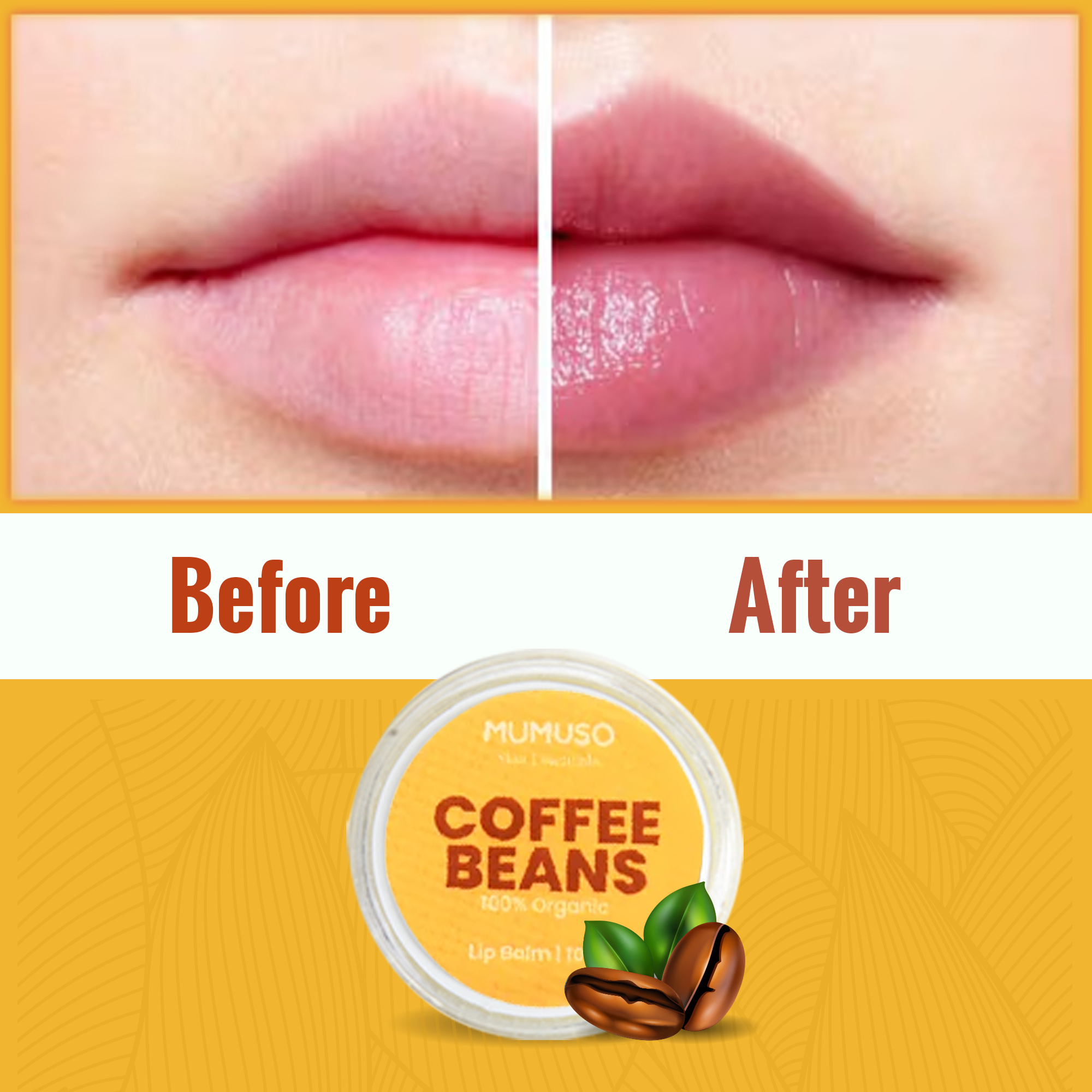 Organic Coffee Beans Lip Balm - 10 gm