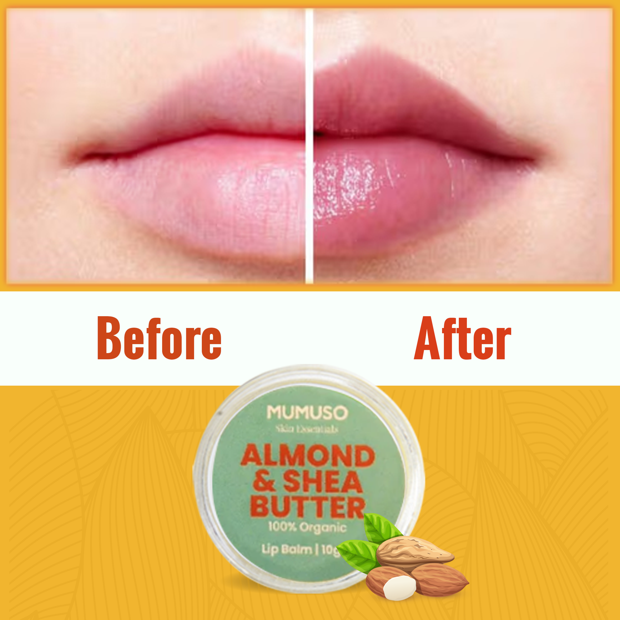 Organic Shea Butter &amp; Almond Lip Balm