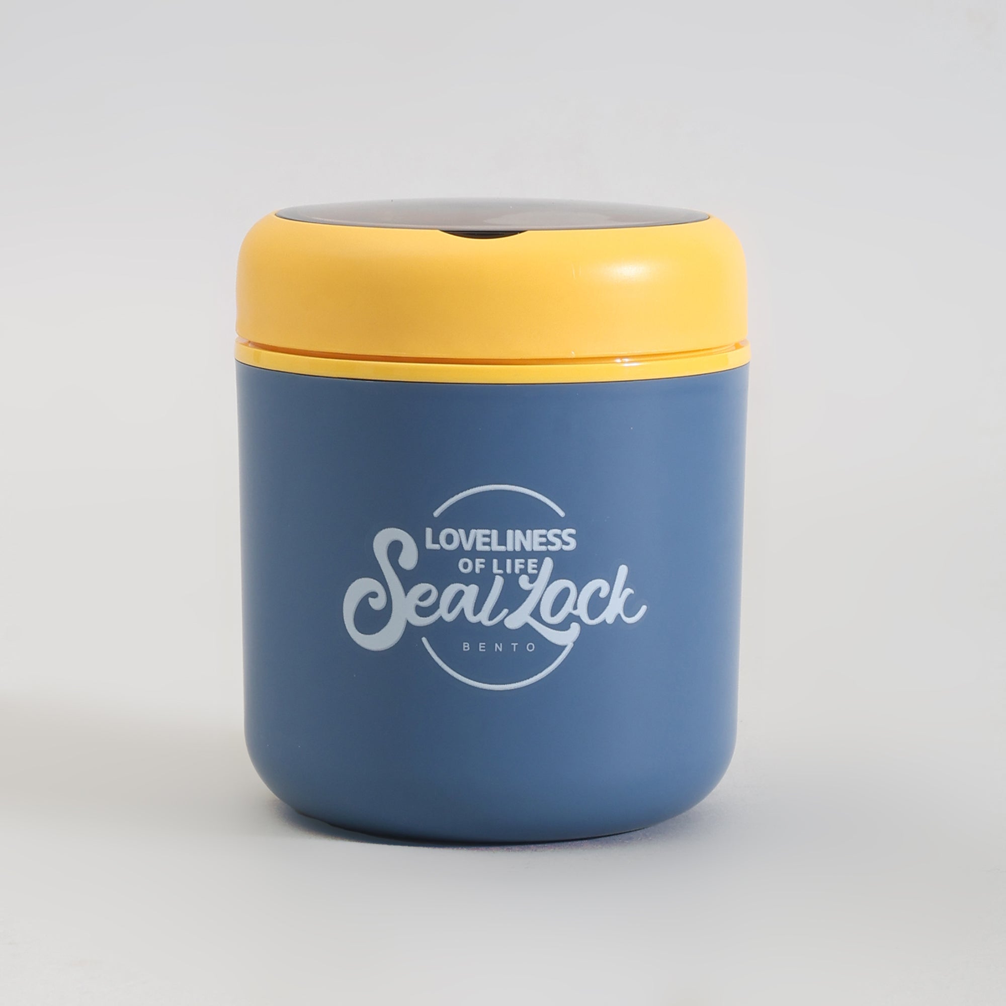 Insulated Large Lunch Box with Cutlery &amp; Transparent Lid- Assorted Colours!