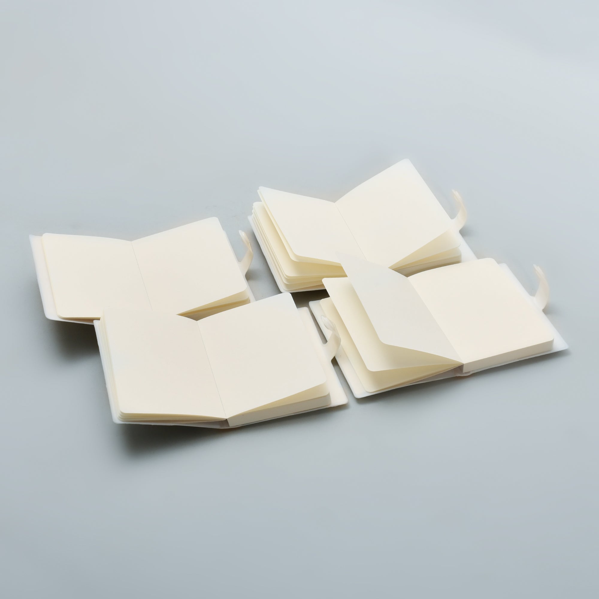 Assorted Capybara Small Notebook- Assorted Colours
