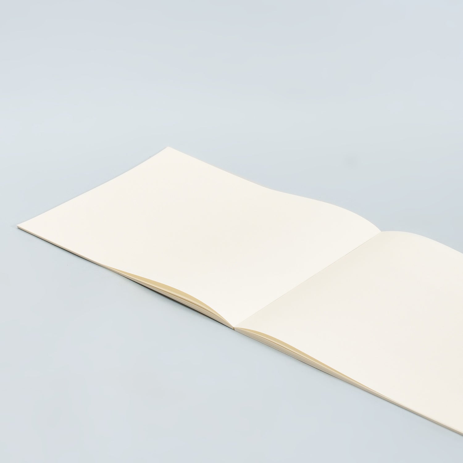 A4 Drawing Notebook —Pink  Cherry Blossom Edition/A4
