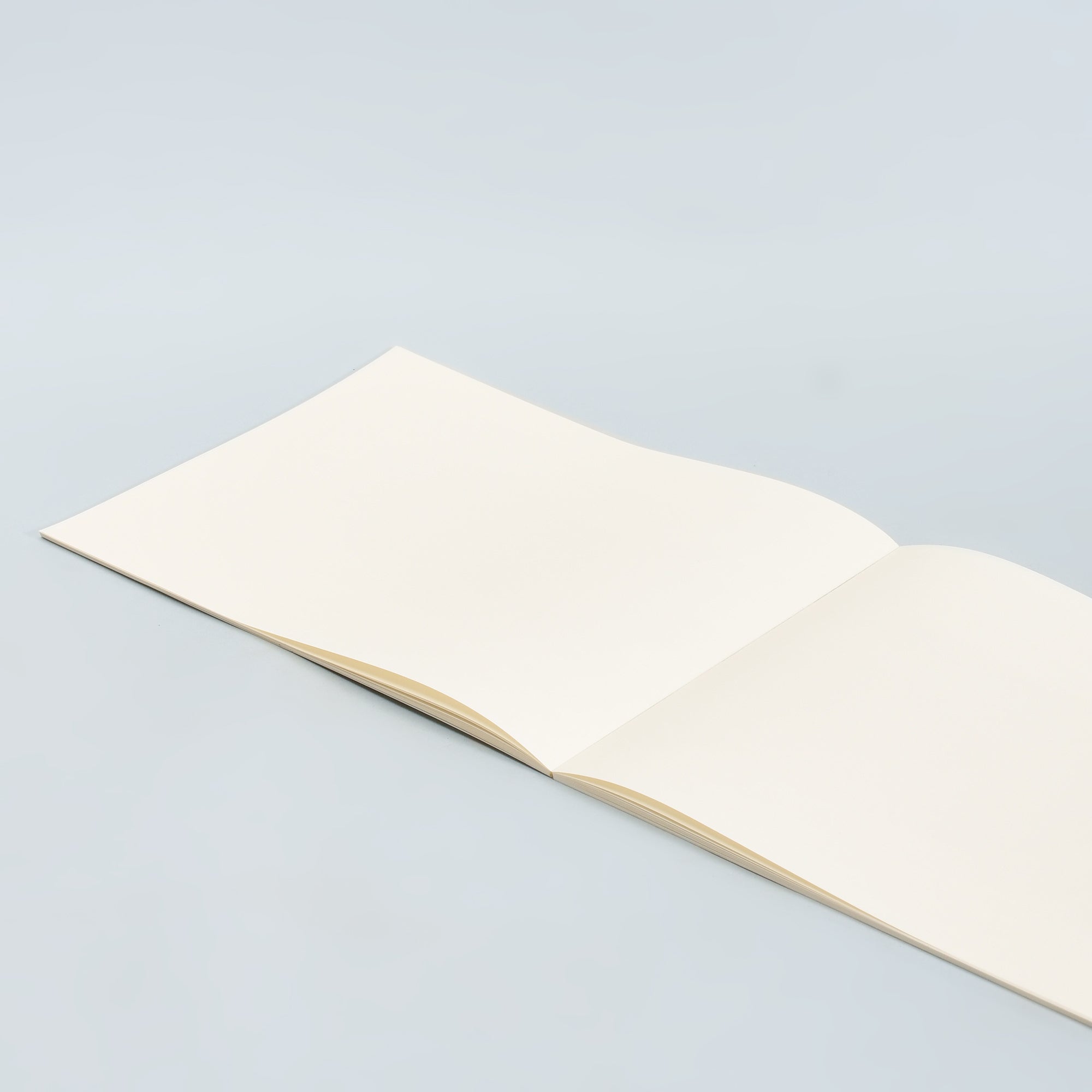 A4 Drawing Notebook —Pink  Cherry Blossom Edition/A4