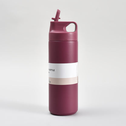 Sleek Design Insulated Water Bottle with Straw – 550ml- White/ Maroon/ Brown