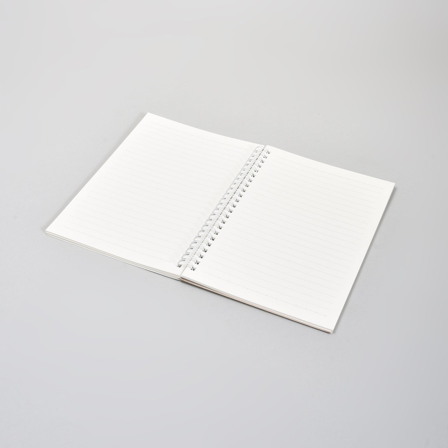 A5 Spiral Notebook- Dinosaur Paradise