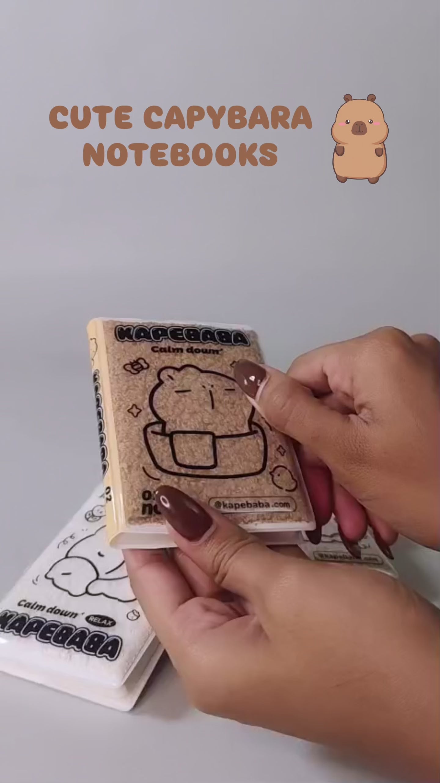 Assorted Capybara Small Notebook- Assorted Colours